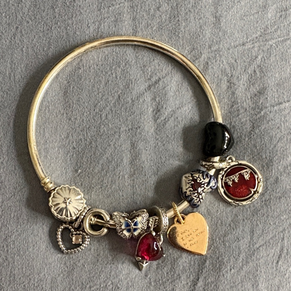 Pandora charm bracelet set